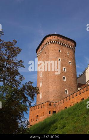 Senators Tower au château royal de Wawel, colline de Wawel, Cracovie, Pologne. Banque D'Images