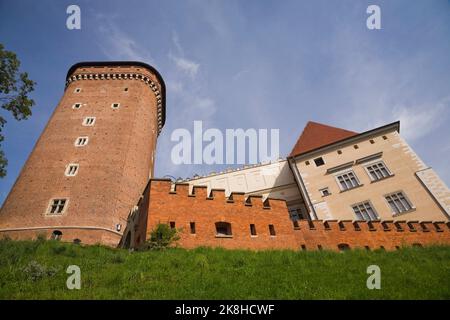 Senators Tower au château royal de Wawel, Wawel Hill, Cracovie, Pologne. Banque D'Images