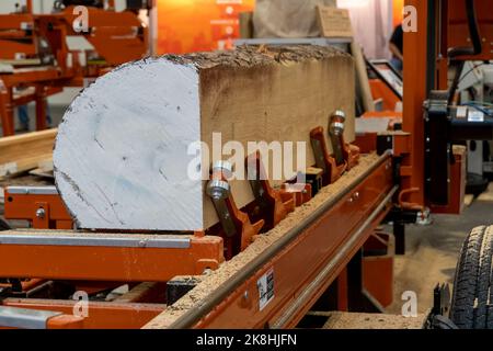 machine automatisée de découpe de grumes, machine longitudinale de découpe du bois, amérique latine Banque D'Images