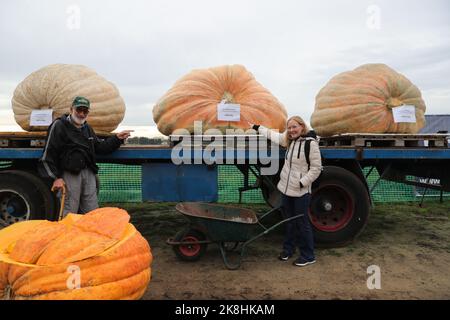 Kasterlee, Belgique. 23rd octobre 2022. Les gens posent pour des photos avec des citrouilles dans le village de Lichtaart de Kasterlee, Belgique, 23 octobre 2022. L'édition 13th de la régate de citrouille est un concours de kayak en Belgique, qui attire les participants à s'asseoir et à concourir dans de grandes citrouilles creuses. Selon les organisateurs locaux, le poids de chaque citrouille qui a été faite dans un bateau pourrait atteindre des centaines de kilogrammes. Credit: Zheng Huansong/Xinhua/Alay Live News Banque D'Images