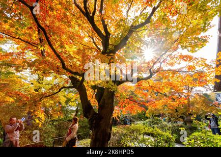 Superbe vue, couleur d'automne au temple Jojakko-ji, Japon en automne autour de novembre Banque D'Images