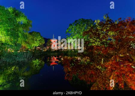 Vue nocturne de la Tour Shingyo-Hoto avec réflexion à Daikaku Ji à Kyoto, Japon Banque D'Images