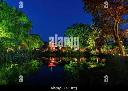 Vue nocturne de la Tour Shingyo-Hoto avec réflexion à Daikaku Ji à Kyoto, Japon Banque D'Images