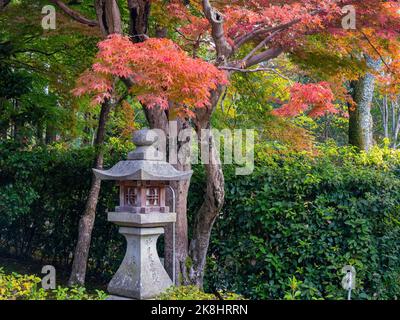 Superbe vue, couleur d'automne au temple Jojakko-ji, Japon en automne autour de novembre Banque D'Images