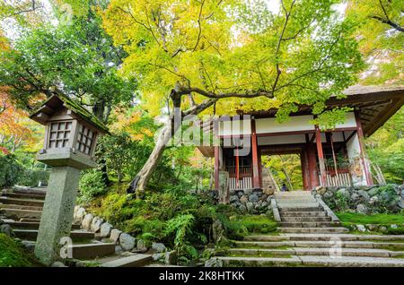 Superbe vue, couleur d'automne au temple Jojakko-ji, Japon en automne autour de novembre Banque D'Images