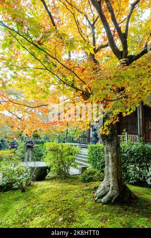 Superbe vue, couleur d'automne au temple Jojakko-ji, Japon en automne autour de novembre Banque D'Images
