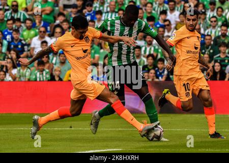 23 octobre 2022: SÉVILLE, ESPAGNE - OCTOBRE 23: William Carvalho de Real Betis Balompie bataille pour le bal avec Stefan Savic de l'Atlético de Madrid pendant le match entre Real Betis Balompie et Atlético de Madrid CF de la Liga Santander sur 27 août 2022 à Mestalla à Valence, Espagne. (Credit image: © Samuel Carreño/PX Imagens via ZUMA Press Wire) Banque D'Images