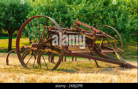 Un outil agricole rouillé dans un champ. Vieux râteau de foin dans un champ rural du côté de la campagne. Matériel agricole antique. Personne, mise au point sélective, photo de voyage Banque D'Images