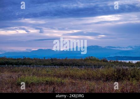 Ebey's Trail, réserve Admiralty Inlet, Whidbey Island, Washington, États-Unis, Péninsule olympique au loin Banque D'Images