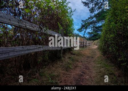 Ebey's Trail, réserve Admiralty Inlet, Whidbey Island, Washington, États-Unis Banque D'Images