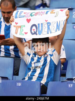 Sabadell, Barcelone, Espagne. 23rd octobre 2022. Barcelone Espagne 23.10.2022 le supporter Espanyol regarde pendant la Liga Santander entre Espanyol et Elche CF au stade RCDE le 23 octobre 2022 à Barcelone. (Image de crédit : © Xavi Urgeles/ZUMA Press Wire) Banque D'Images