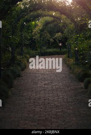 Voyez où vous mène le chemin. Photo de la vie d'une arche dans un jardin. Banque D'Images