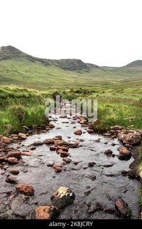 Un Rocky Riverbed dans le paysage vert de l'Irlande (avec des collines vertes en arrière-plan) Banque D'Images