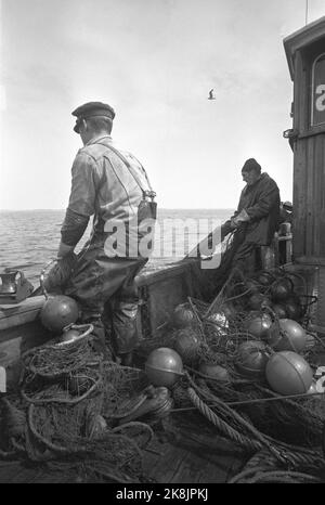 Oslofjord 19690531 sur REK après crevettes. Sur la pêche à la crevette avec le bateau aigle de mer. L'équipage est de deux hommes. Le skipper Reidar Hauge Pedersen (t.H.) et son fils Egil. Photo: Aage Storløkken NTB / NTB photo: Aage Storløkken / actuel / NTB Banque D'Images