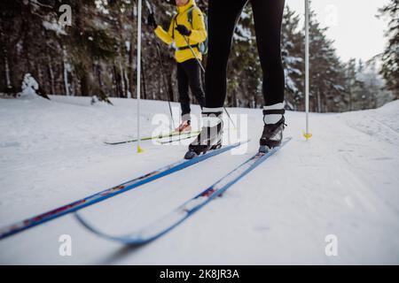 Section basse et gros plan des skieurs faisant du ski de fond de croos au milieu de la forêt. Banque D'Images