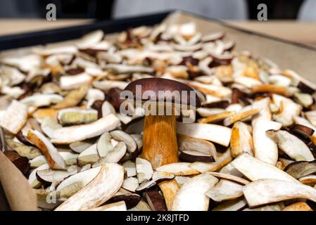 Fond de champignons comestibles tranchés et crus, couché sur du papier à pâtisserie, boletus debout visible. Banque D'Images