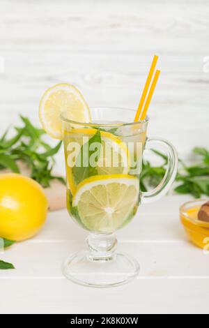 Cocktail Mojito. Cocktail rafraîchissant de mojito avec citron vert, citron et menthe dans un grand verre avec un bâton. Banque D'Images