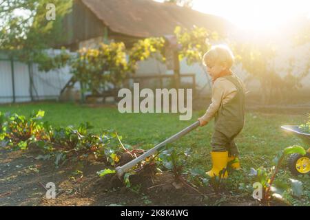 Petit garçon avec une houe travaillant dans le jardin pendant la journée d'automne. Banque D'Images