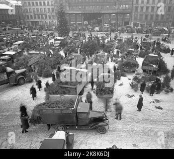 Oslo 195312. Il approche la fin de Noël. Dans quelques heures, le tapis se glissera pour la grande fête, avec l'arbre de Noël comme centre fédérateur. Les vendeurs de la place ont un grand dépôt sur leurs arbres le matin de la veille de Noël, et il ya une panique parmi le public d'achat. Que se passe-t-il si le stock n'est pas assez grand pour que tout le monde puisse l'obtenir ? Photo: Sverre A. Børretzen / actuel / NTB Banque D'Images