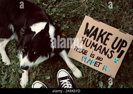 Gros plan d'un Border Collie placé à côté du carton avec l'inscription « wake up humains There is no Planet B » Banque D'Images