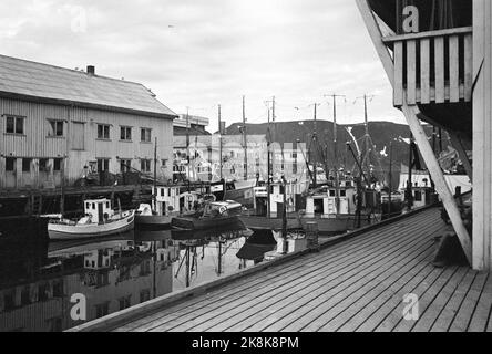 Norvège du Nord 19650724 touristes à l'hôtel Hurtigruta touristes qui veulent voir autant de Norvège que possible, et le soleil de minuit, prendre la route rapide de Bergen à Kirkenes et de retour. Ils vivent dans un hôtel flottant qui les emmène dans de petits endroits et des villes le long de la côte. Bateaux de pêche au quai de Honningsvåg. Photo: Sverre A. Børretzen / actuel / NTB Banque D'Images