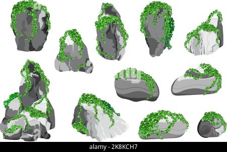 Galets côtiers,pavés,gravier,minéraux et formations géologiques.Collection de pierres de formes et de plantes diverses.fragments de roches,rochers et b Illustration de Vecteur