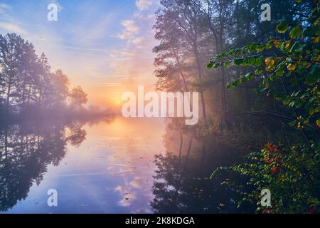 Lever du soleil et brouillard sur un lac calme. Photo de haute qualité Banque D'Images