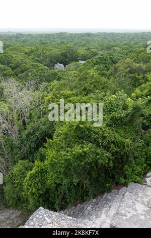 Calakmul, un site archéologique Maya au fond de la jungle de l'État mexicain de Campeche. Vue de la pyramide appelée structure 2 Banque D'Images