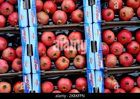 Copenhague/Danemark/.24 octobre 2022/acheteurs d'épicerie chez .fruit and légume vendor at torvhallerne dans la capitale danoise openhagen ( .photo..Francis Joseph Dean/Dean Pictures) Banque D'Images