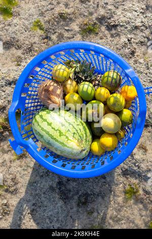 Assortiment de fruits tropicaux en vente sur route, Zanzibar, Tanzanie, Afrique Banque D'Images