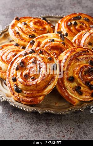 Juste cuit pain aux raisins les petits pains sont également appelés escargot ou pain russe, est une pâtisserie en spirale avec crème anglaise et raisins secs dans l'assiette sur le Banque D'Images