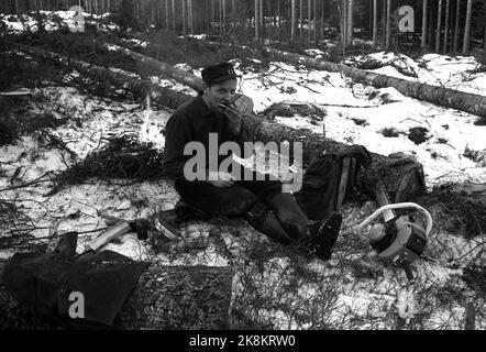 Eidskog février 1965. L'auteur, le parolier et l'enregistreur Hans Børli. Ici, il prend une pause dans les bois. La tronçonneuse est à côté de lui. Brûle les feux de camp. Photo: Ivar Aaserud / courant / NTB Banque D'Images