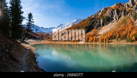 Lac Orceyrette en automne avec mélèze doré dans les Alpes françaises. Région de Briançon. Hautes-Alpes. France Banque D'Images