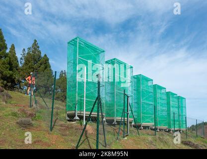 Récolte de nuages, filets de capture de brouillard, filets utilisés pour recueillir l'eau des nuages bas/brouillard/brouillard dans les montagnes de Gran Canaria, îles Canaries, Espagne Banque D'Images