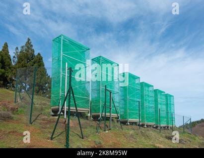 Récolte de nuages, filets de capture de brouillard, filets utilisés pour recueillir l'eau des nuages bas/brouillard/brouillard dans les montagnes de Gran Canaria, îles Canaries, Espagne Banque D'Images