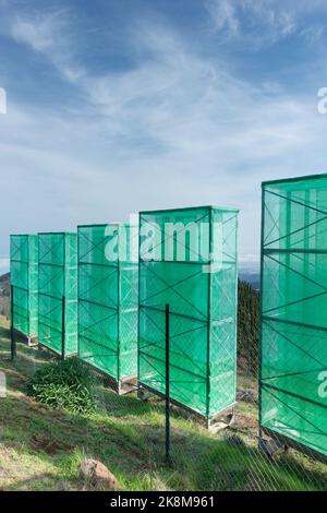 Récolte de nuages, filets de capture de brouillard, filets utilisés pour recueillir l'eau des nuages bas/brouillard/brouillard dans les montagnes de Gran Canaria, îles Canaries, Espagne Banque D'Images