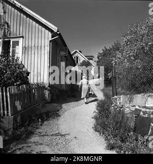 Drøbak 19470902 la sécheresse et la pénurie d'eau à l'été 1947 ont également été remarquées à Drøbak. Femme plus âgée sur le chemin en haut de la colline abrupte dans le soleil glorieux. PHOTO: LYNAU / NTB / NTB Banque D'Images