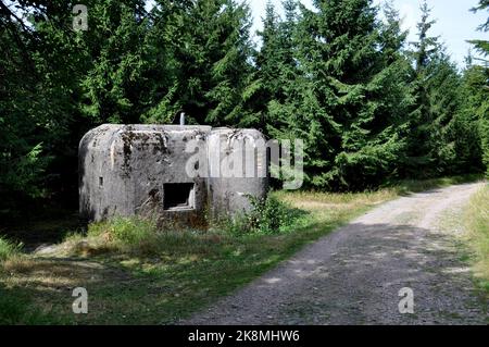 Fortifications en béton dans l'orée d'Orlicke 2015. République Tchèque (CTK photo/Rostislav Kalousek) Banque D'Images