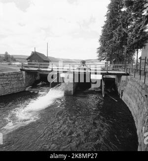 Oslo à l'été 1962. Une promenade le long de l'Akerselva de OS à OS. Akerselva laisse l'eau potable d'Oslo Maridalsvannet au sommet de Nordmarka. Photo: Aage Storløkken / actuel / NTB Banque D'Images