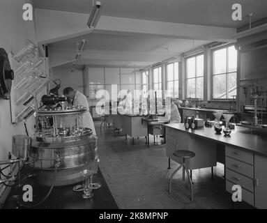 Oslo 1951. Brasseries à Oslo en 1951. Ici du laboratoire dans l'une des brasseries. Photo: Sverre A. Børretzen / actuel / NTB Banque D'Images