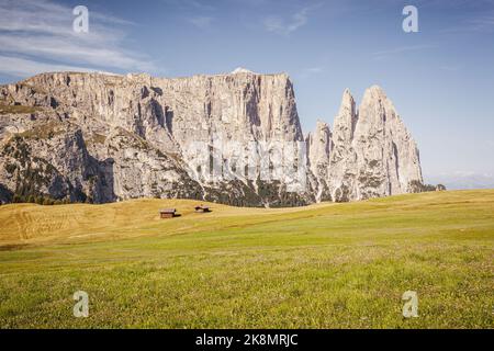 Seiser Alm est un plateau de Dolomites et la plus grande prairie alpine de haute altitude d'Europe. Situé dans la province italienne du Tyrol du Sud, dans le massif des Dolomites Banque D'Images