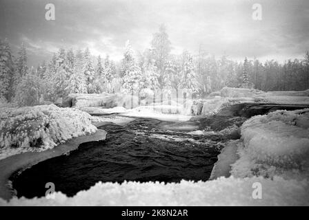 Rena janvier 1963 vague de froid à Rena, l'un des endroits les plus froids de Norvège. Image d'ambiance avec de la glace et des arbres blancs d'hiver. Photo: Sverre A. Børretzen / actuel / NTB Banque D'Images