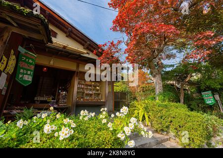Kyoto, 16 2013 NOVEMBRE - Ensoleillé d'automne landscape à Arashiyama Banque D'Images