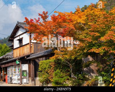 Kyoto, 16 2013 NOVEMBRE - Ensoleillé d'automne landscape à Arashiyama Banque D'Images