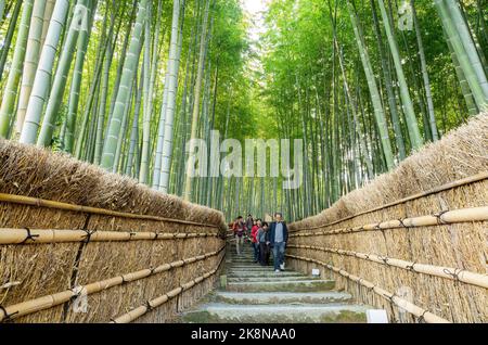 Kyoto, 16 2013 NOVEMBRE - vue sur la forêt de bambous à Adashino Nenbutsu Ji Banque D'Images