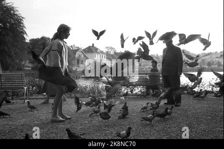 Stavanger. 101959. Une jeune vie Ullmann au théâtre Rogaland. Ici elle est entourée de pigeons avec Breiavatnet en arrière-plan. Photo: Sverre A. Børretzen / actuel / NTB Banque D'Images