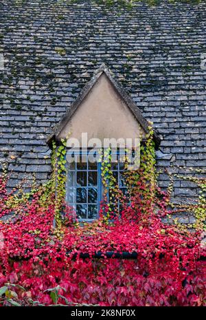 Pavillon de cottage en pierre Cotswold et fenêtre couverte en ivy d'automne. Stanton, Gloucestershire, Cotswolds, Angleterre Banque D'Images