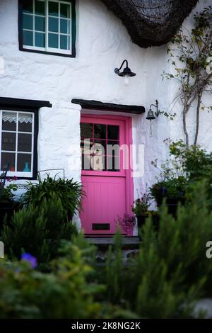 Architecture plein cadre de fond d'un cottage pittoresque de chaume dans la campagne anglaise avec porte rose colourte et jardin Banque D'Images