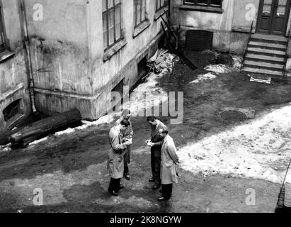 Oslo 1953; le rapport donne un aperçu de la bataille de l'église autour de la faculté privée de l'université de l'église avec le prédicateur de soufre et le professeur Dr. Philos. OLE Hallesby à l'avant-garde de l'évêque Libereal Dr. Theol. Kristian Schjelderup. De la Faculté de l'Église à Saint-Olavsgate 29. Quatre élèves de sexe masculin sont dans l'arrière-cour. Photo ; actuelle / NTB Banque D'Images