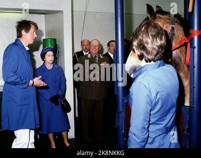 Oslo 19810507. La reine Elizabeth en Norvège à l'occasion d'une visite d'État avec son mari, le prince Philip. La reine Elizabeth et le prince Philip, suite à une opération sur un cheval dans le cadre d'une visite de l'hôpital animalier de Bjerke. Roi Olav en arrière-plan. Photo: Erik Thorberg / NTB / NTB Banque D'Images